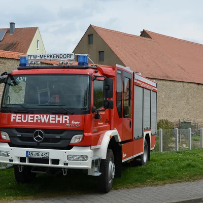 LF 10
