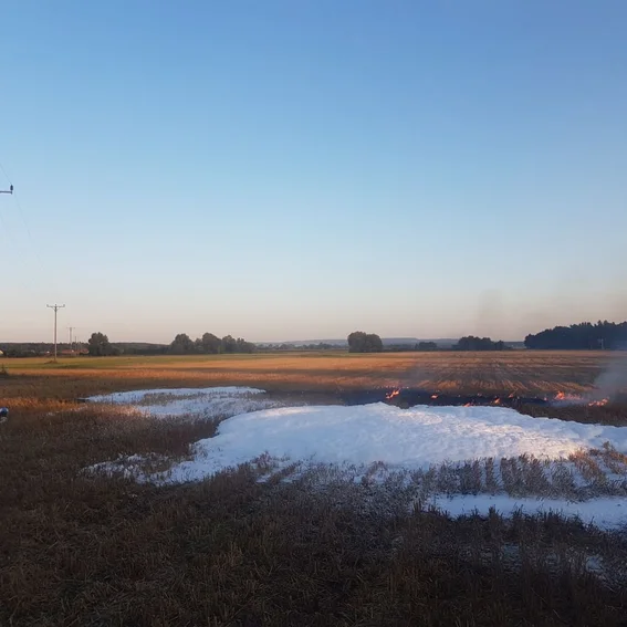 IMG-20170807-WA0035.jpg