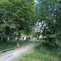 IMG-20240624-WA0009.jpg
